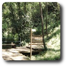 Parc de les coves de Serinyà